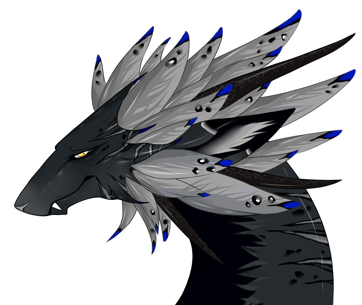 유저 프로필 사진