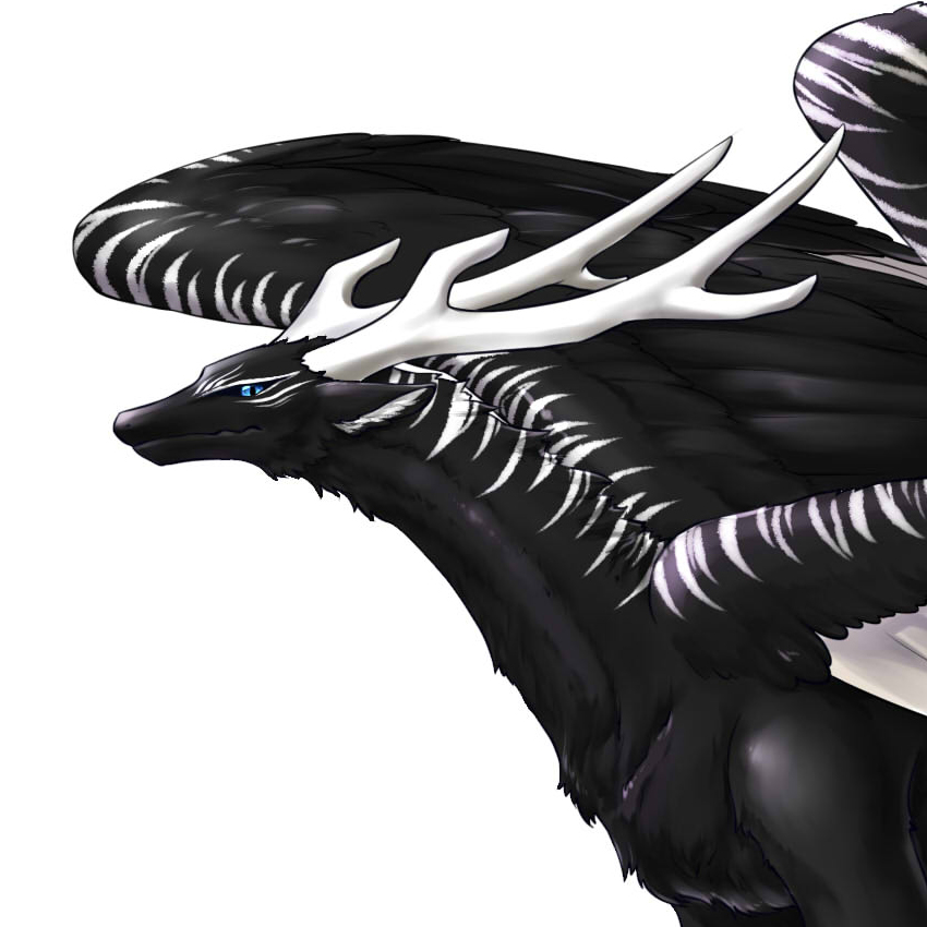 유저 프로필 사진