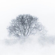 유저 프로필 사진