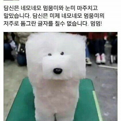 유저 프로필 사진