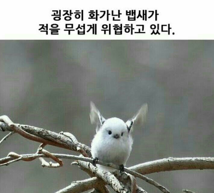 유저 프로필 사진