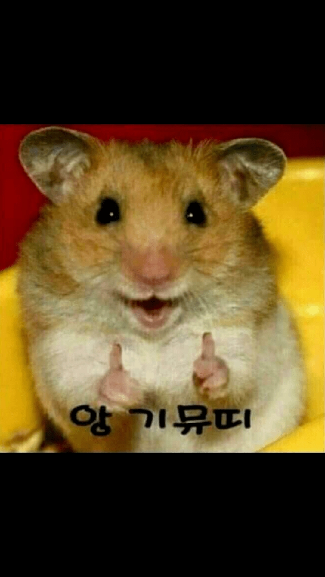 유저 프로필 사진