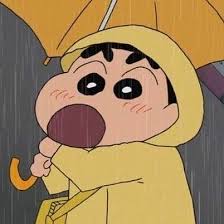 유저 프로필 사진