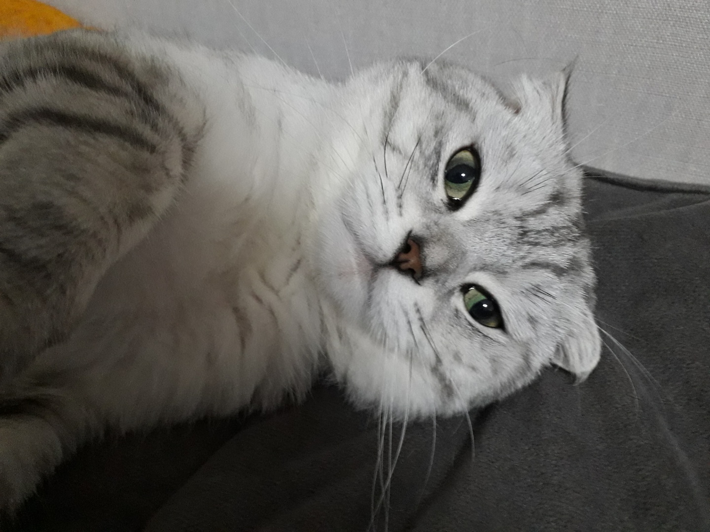 유저 프로필 사진