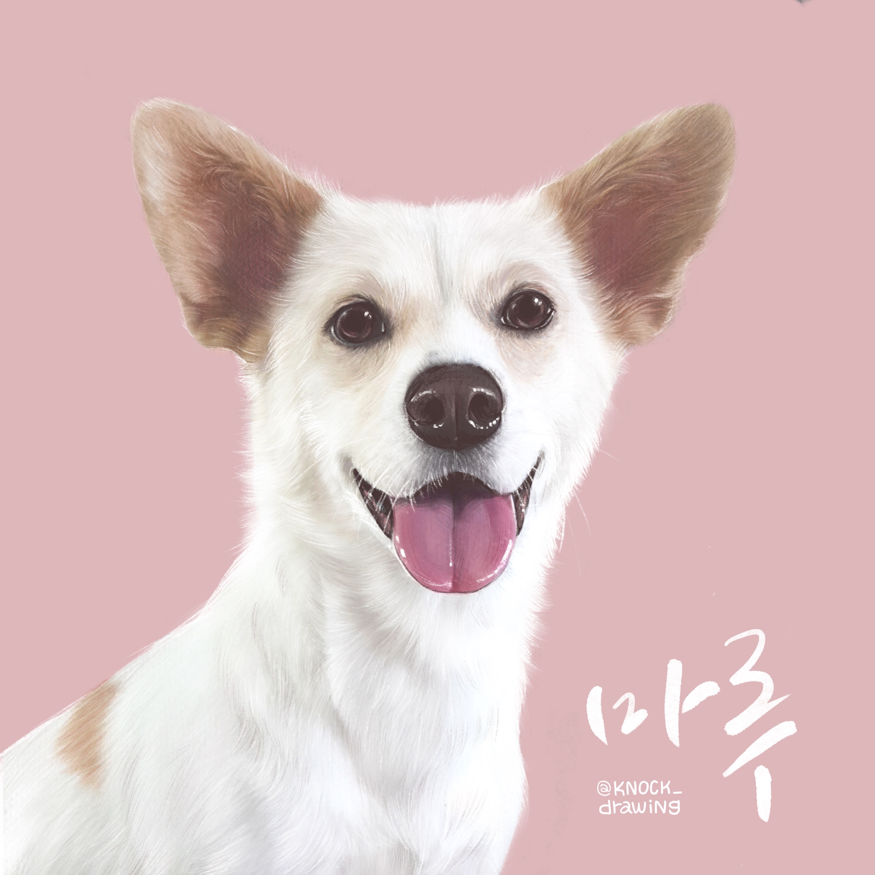 유저 프로필 사진