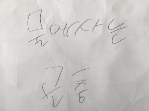 물에 사는 곤충