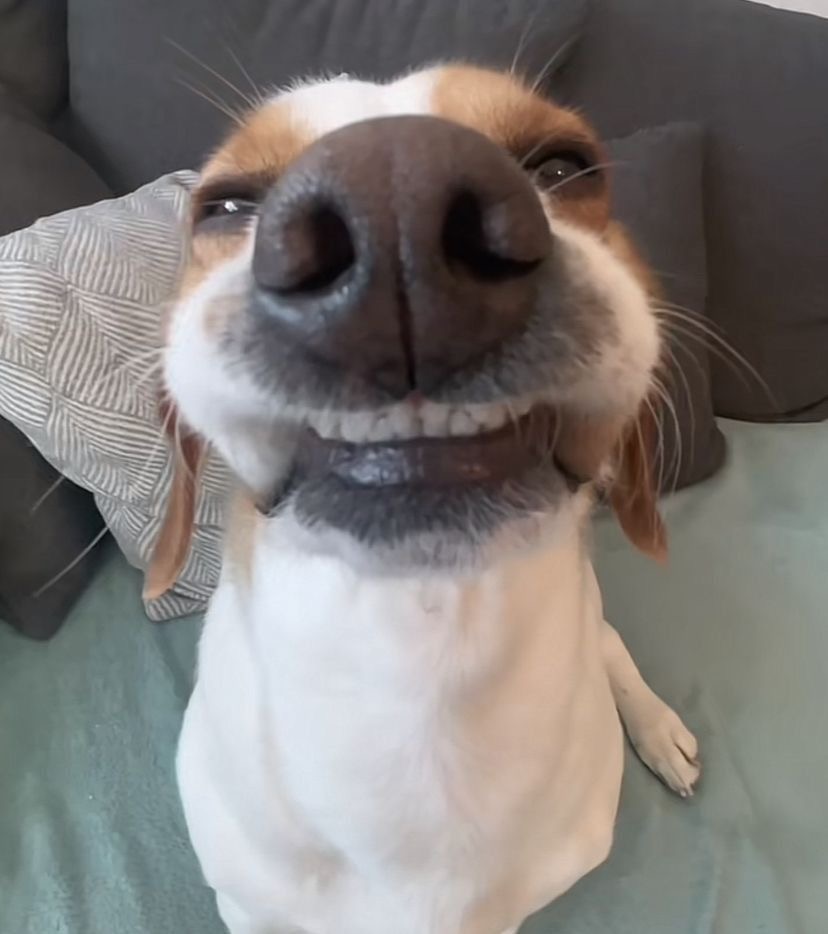 유저 프로필 사진