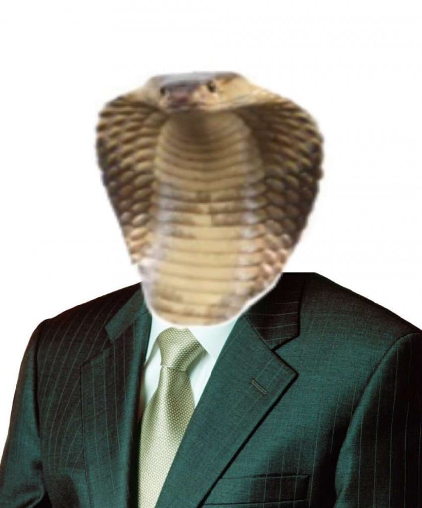 유저 프로필 사진