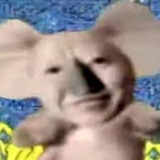 유저 프로필 사진