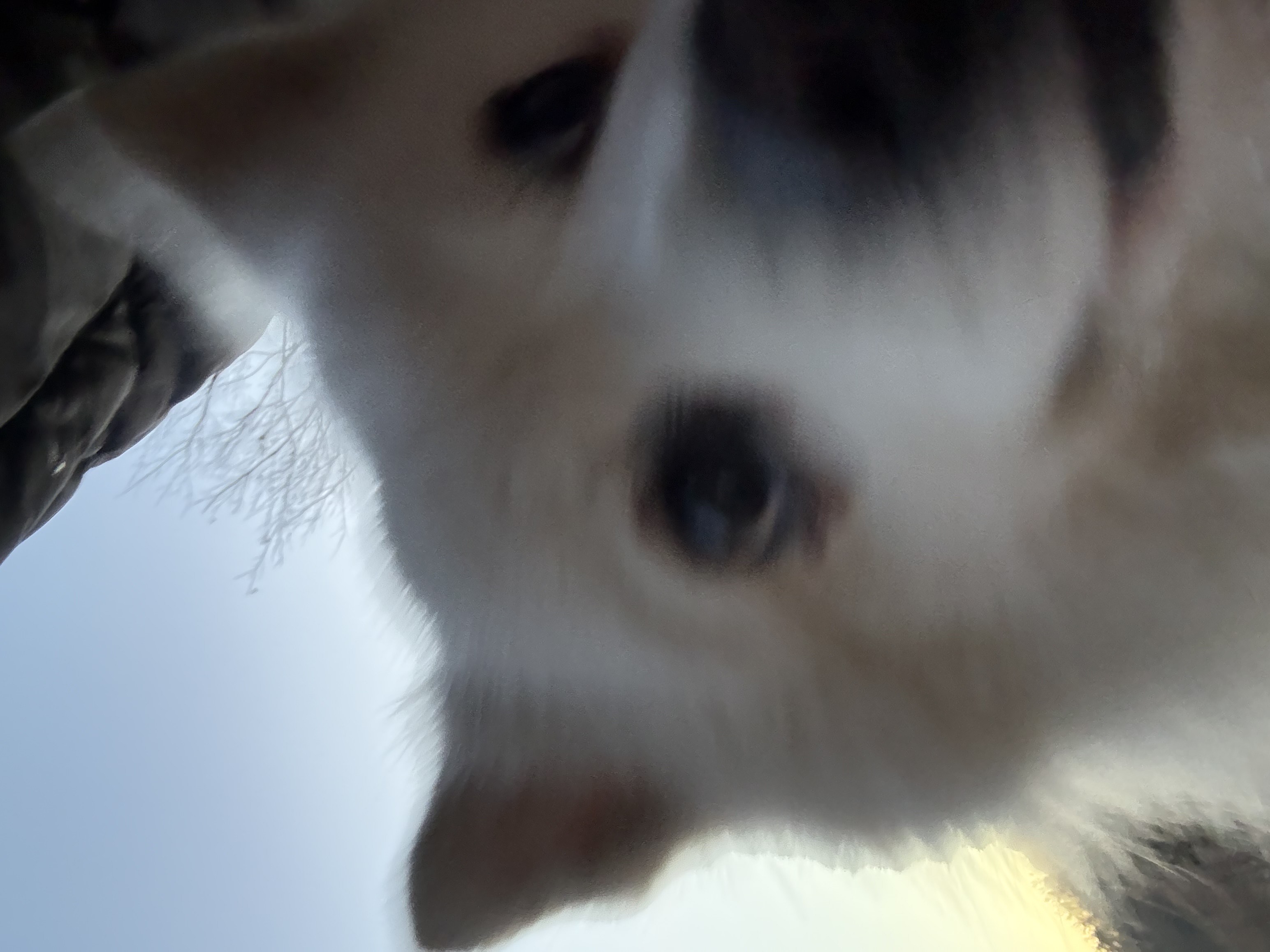 유저 프로필 사진