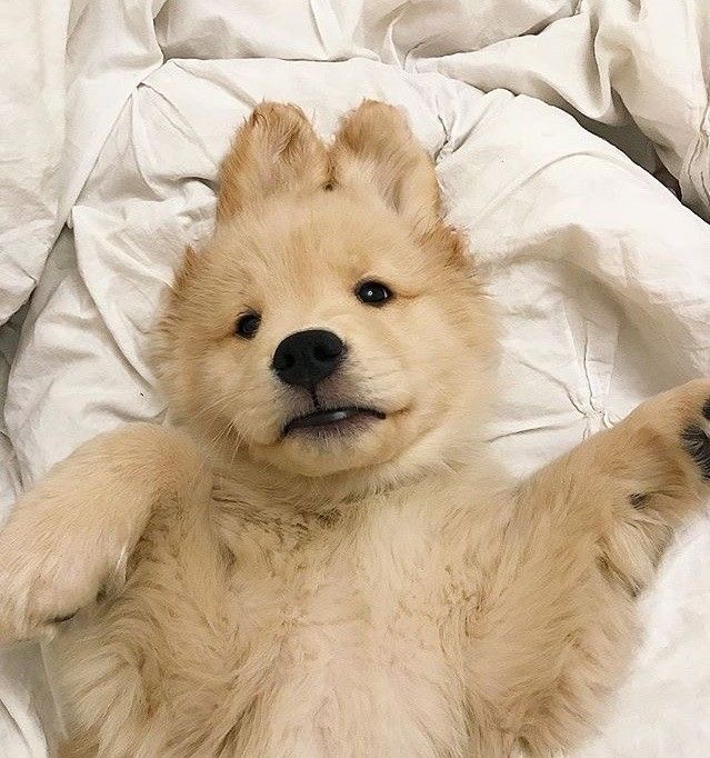 유저 프로필 사진