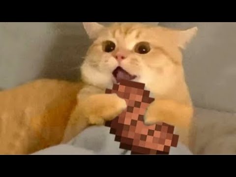 유저 프로필 사진