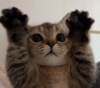 유저 프로필 사진