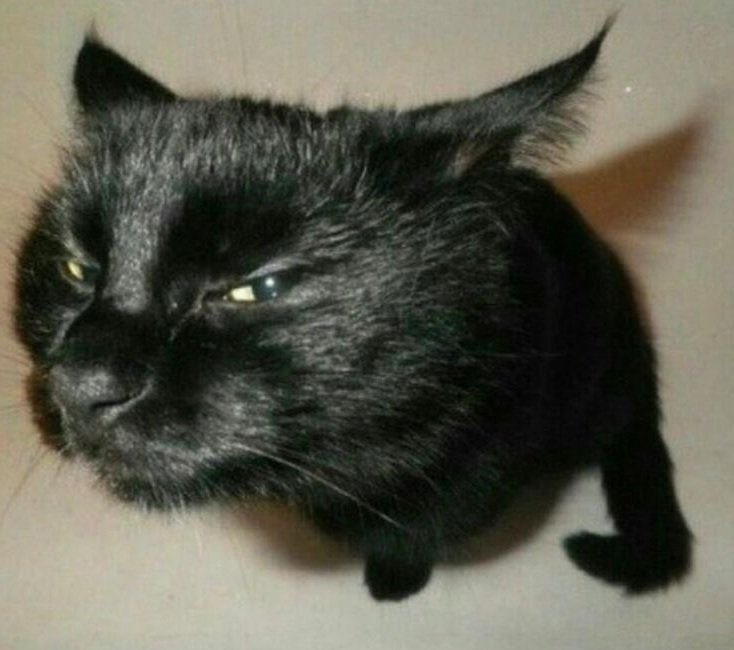 유저 프로필 사진