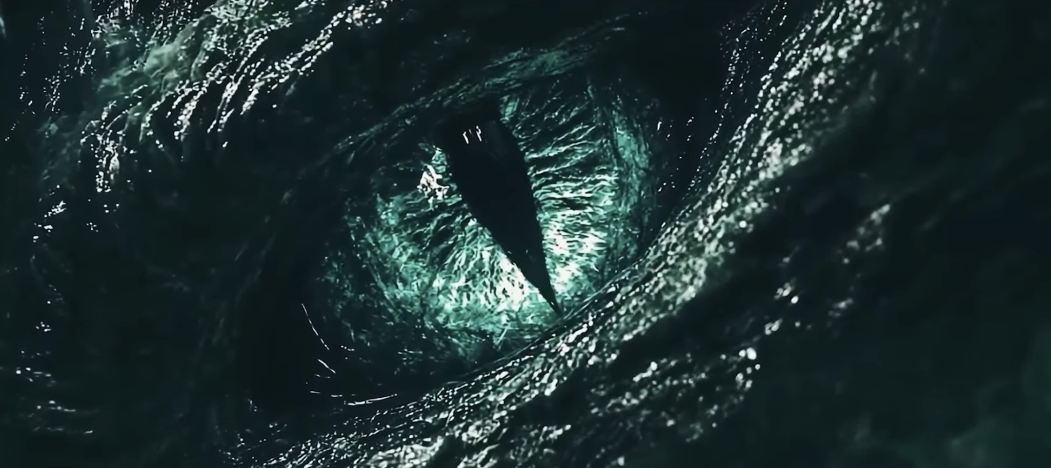 유저 프로필 사진