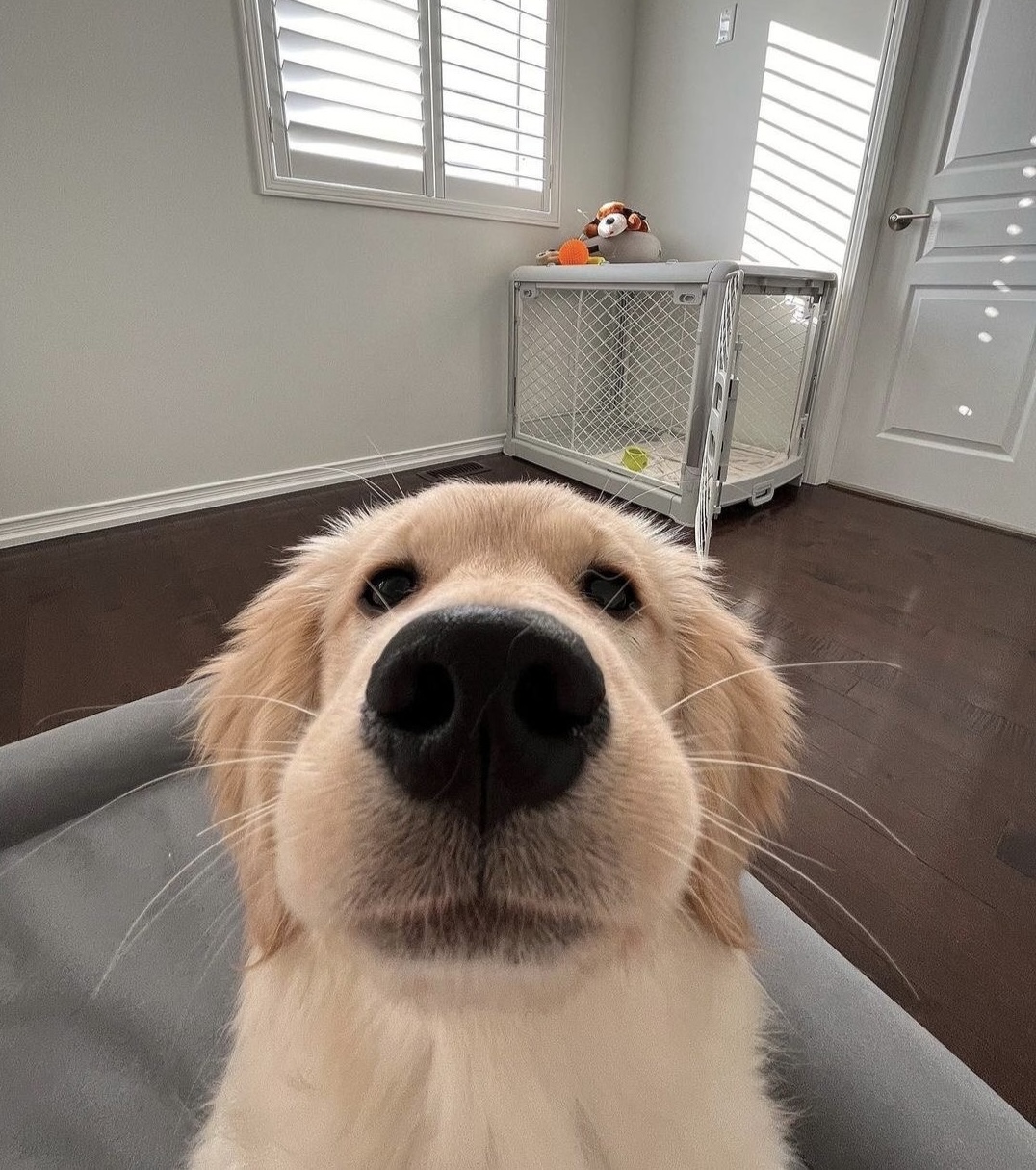 유저 프로필 사진