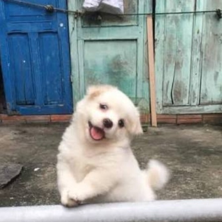 유저 프로필 사진