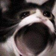 유저 프로필 사진