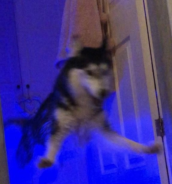 유저 프로필 사진