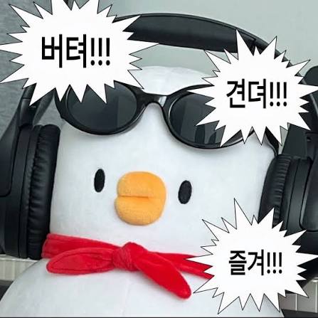 유저 프로필 사진